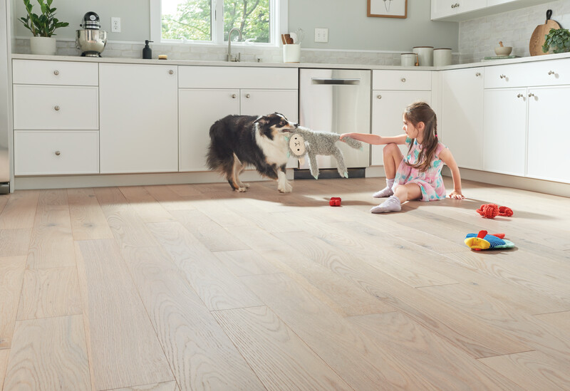 Kitchen scene with a little girl playing with a dog and showing Dogwood densified engineered hardwood flooring